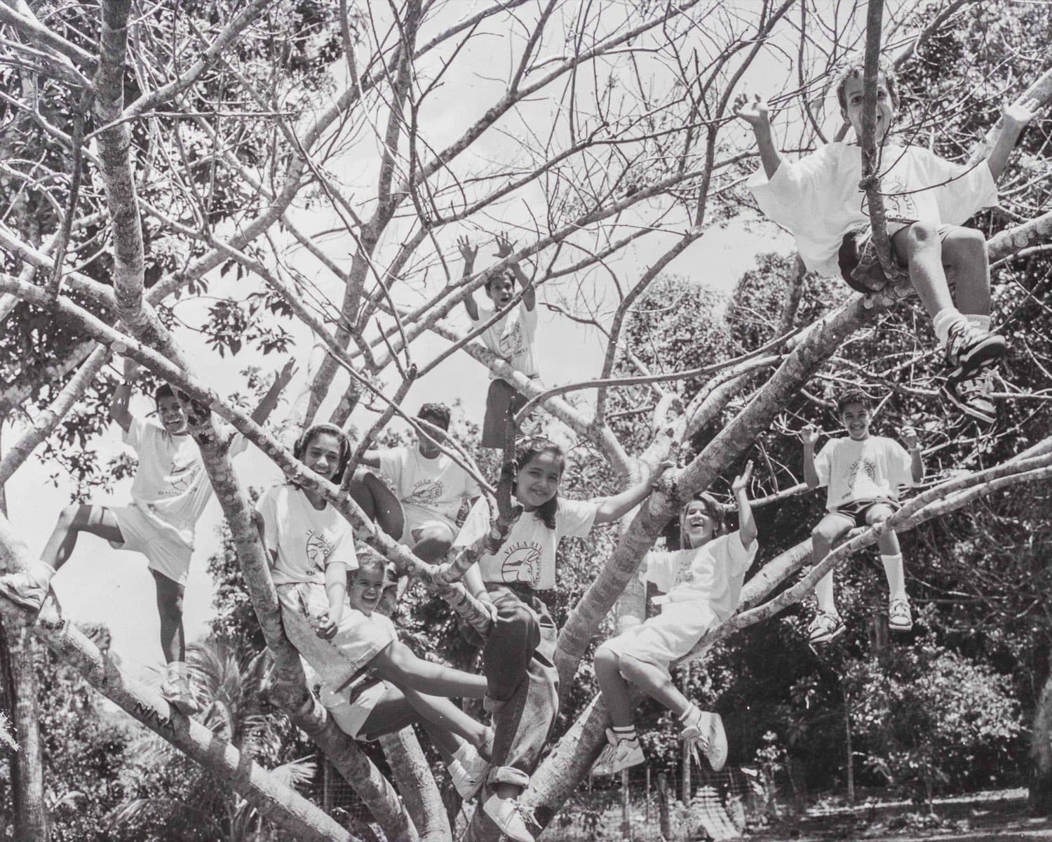 Nueve campistas de Comatillo trepados en las ramas de un árbol, riendo con los brazos en alto